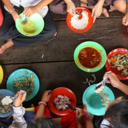 Global Reports of Survey School Meals Around the World Colorful bowls of rice with children's hands eating school meal feeding