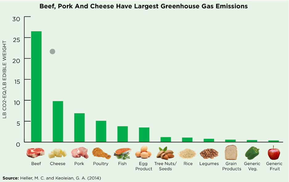 Bar graph illustrating how Beef, porch, and Cheese have largest greenhouse gas emission