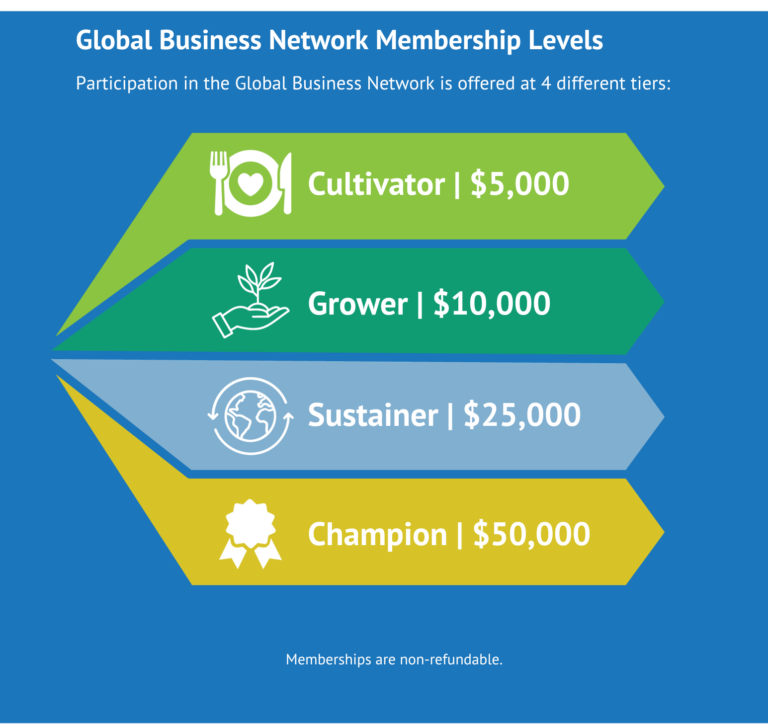 Image shows the 4 different levels of Global Business Network Levels.