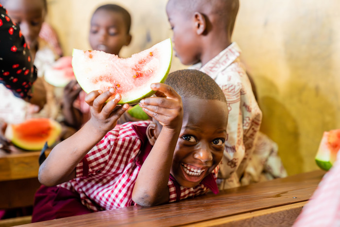 A Ghanaian smallholder farmer and Food for All Africa worker harvesting beans to be disturbed at schools.