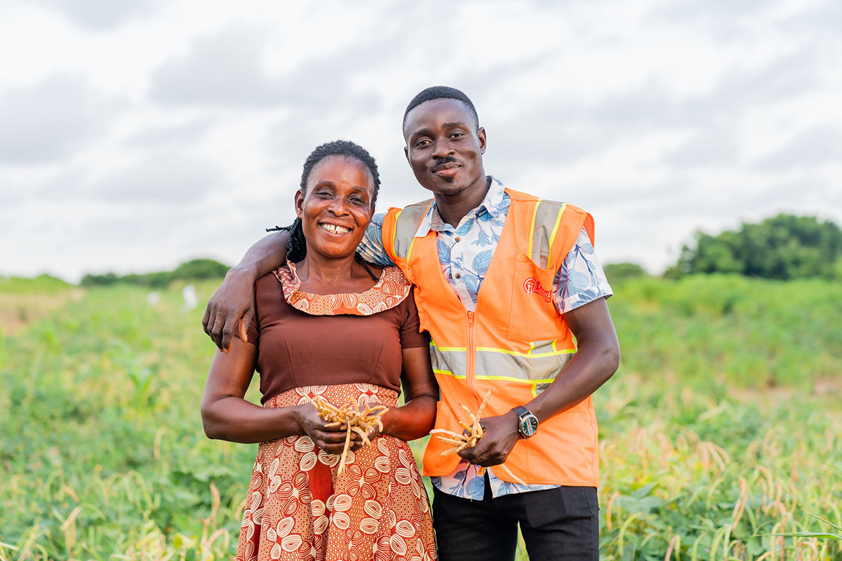 A Ghanaian smallholder farmer and Food for All Africa worker harvesting beans to be disturbed at schools.