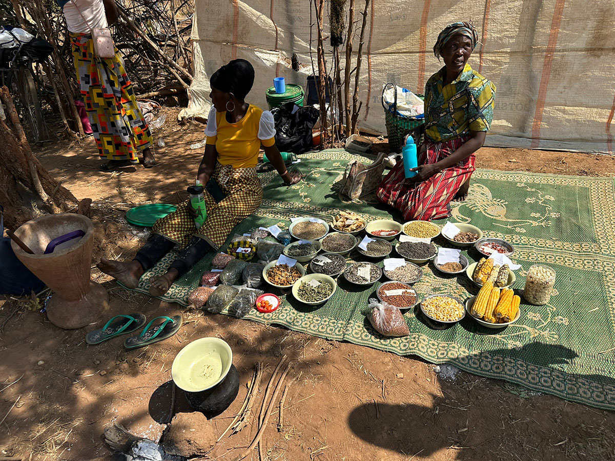 Community seed bank members displaying their local seed varieties in Mumbwa