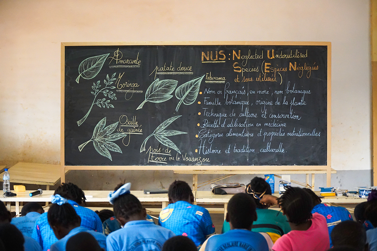 sustainable, climate-resilient, and inclusive food systems