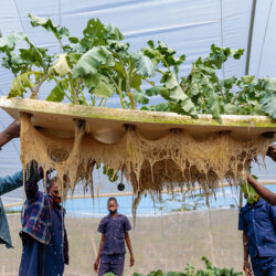 Students in Rural School