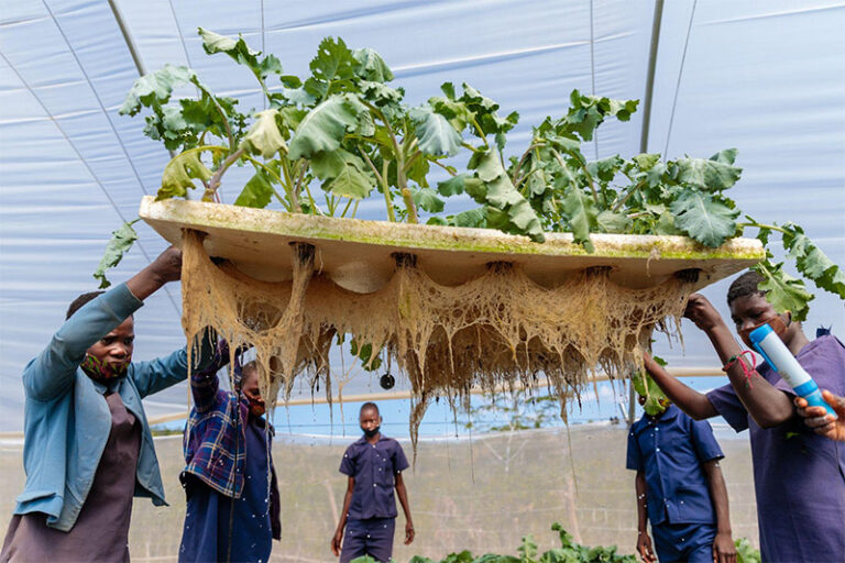 Students in Rural School