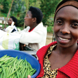 Future of Food - Shaping the Global Food System cover