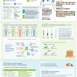 School Meal Programs around the world infographic