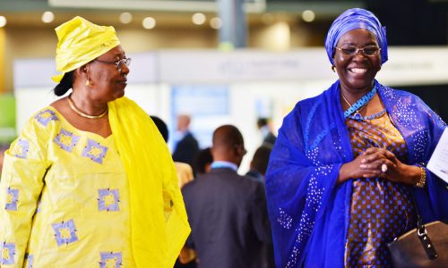 Governments of GCNF Regional Network photo shows two brightly dressed female government representatives
